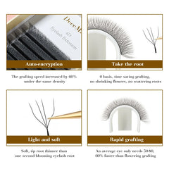 DeceMars 4D - W Shaped Eyelash Extension (12line/Tray)